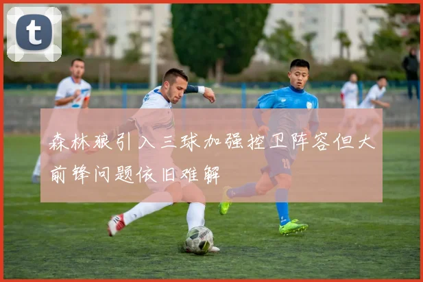 森林狼引入三球加强控卫阵容但大前锋问题依旧难解